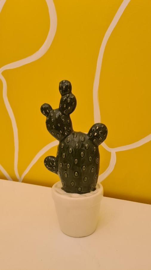 Casa Cactus Sapiddu Apartment Palermo Bagian luar foto